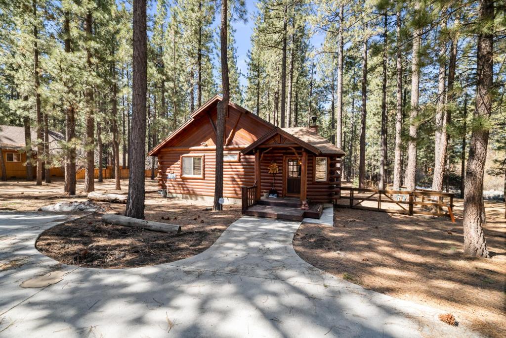 大熊湖Catalina Creekside Cabin - Log home with wood burning fireplace for an immersive mountain getaway!的森林中间的小木屋