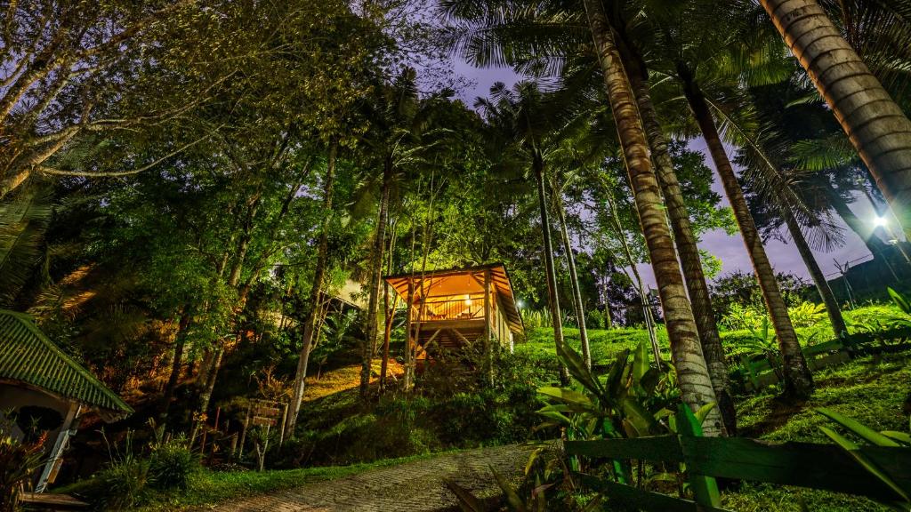 萨兰托Hotel Kawa Mountain Retreat的夜幕降临的丛林树屋
