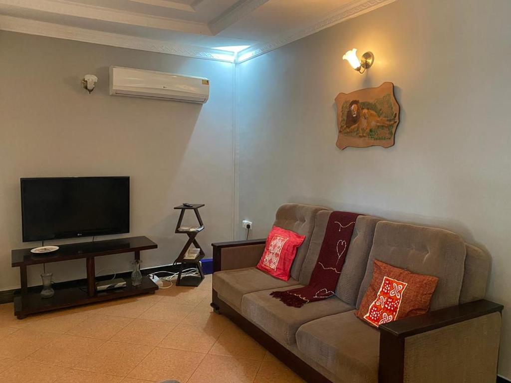 莫希Maasaifari Moshi 36的带沙发和平面电视的客厅