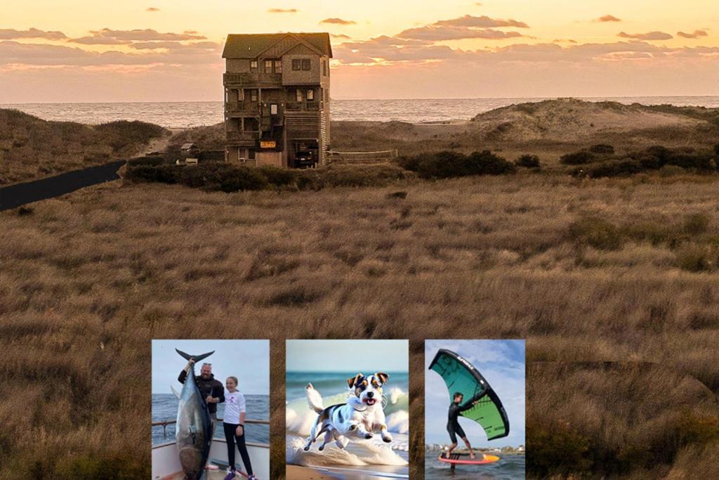 纳格斯黑德23252 Rodanthe的海滩上人们和狗的照片拼在一起
