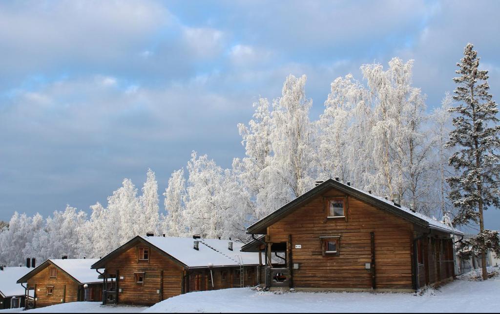 耶姆赛Koivula Cottages的小木屋的背景是雪覆盖的树木