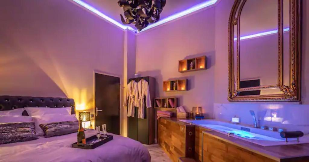 梅斯Appartement de luxe avec Jacuzzi au centre de Metz的卧室配有1张床、浴缸和镜子