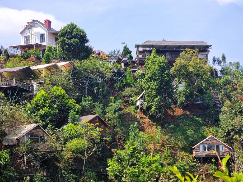 大叻Nhà Bên Suối - Homestay & Camping的山顶上一群房子