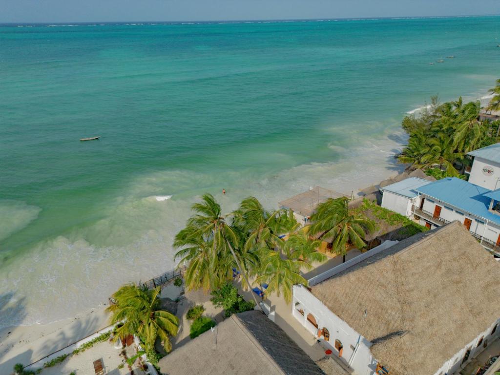 江比阿HA Beach Hotel Zanzibar的棕榈树海滩的空中景致