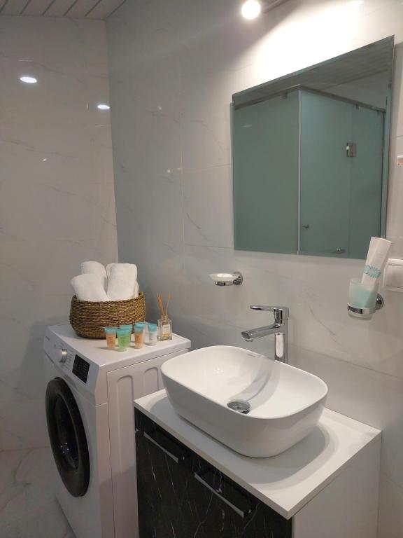 萨克德佐尔镇Tsaghkadzor, Alvina Complex Apartment 163的一间带水槽和洗衣机的浴室