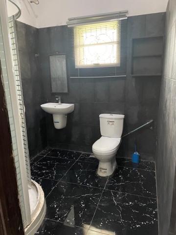 Ile-IfeRoyal Diadem Villa的一间带卫生间和水槽的浴室
