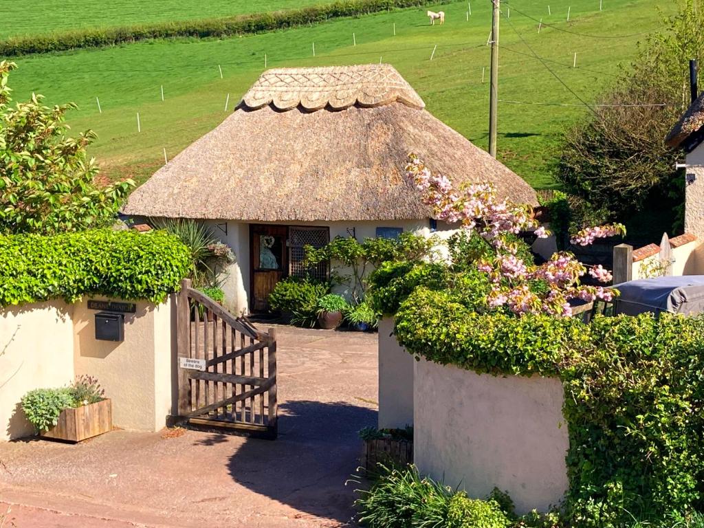 StokeinteignheadThe Nest - Thatched seaside country cottage for two的一座带花草屋顶的小房子