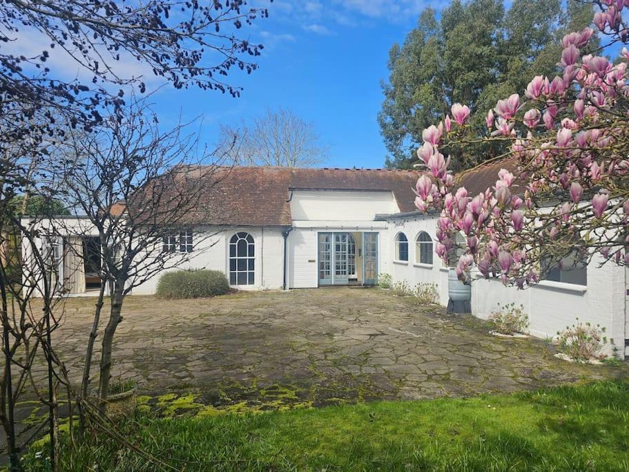 吉尔福德English Farmhouse Cottage的白色的房子,前面有玉兰树