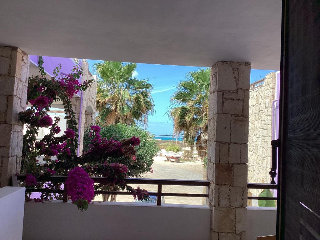 萨尔雷Ca Greta F - Sea View Apartments的鲜花盛开的建筑享有海滩美景