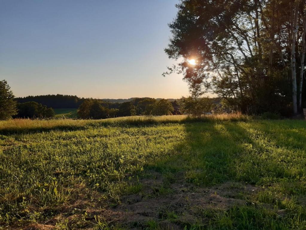 ReutZum Gänseglück的背景中带太阳的场地