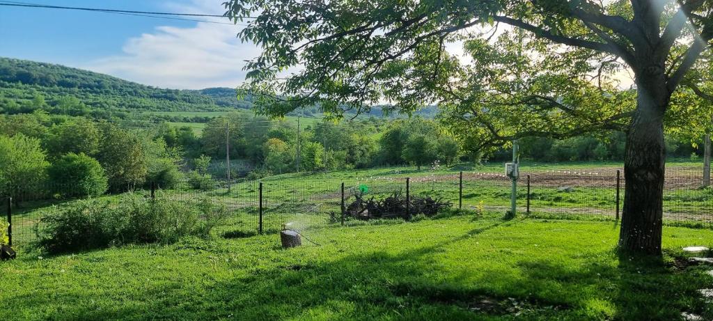 LovechВила "Намасте" с панорамна гледка и камина на дърва的草地上有栅栏和树的田野