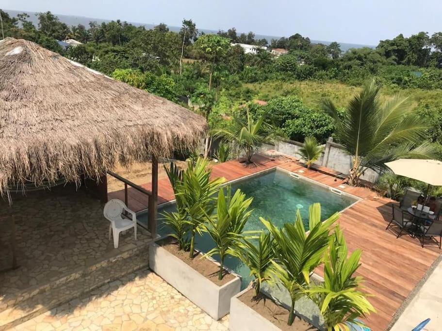克里比Villa tropical avec vue sur l'océan atlantique的游泳池度假村的形象