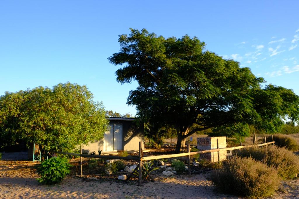 VredenburgBlue Sky Retreat的一座有树和栅栏的房子