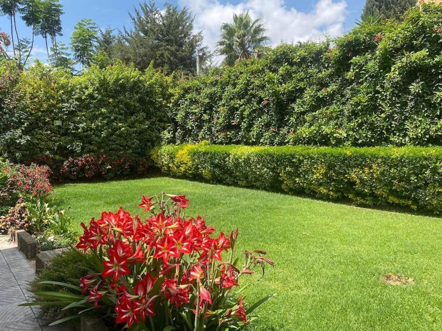 3 Bedroom Villa with Garden in Addis Ababa Bole外面的花园