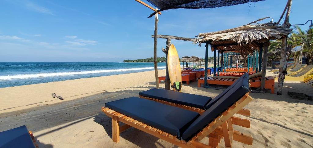 阿鲁甘湾Surf And Stay Arugam Bay的海滩上带椅子和冲浪板的海滩