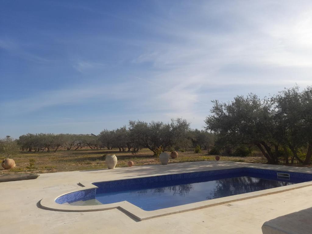 DjerbaVilla Chaâbane的一座位于庭院内的游泳池,庭院内种有树木