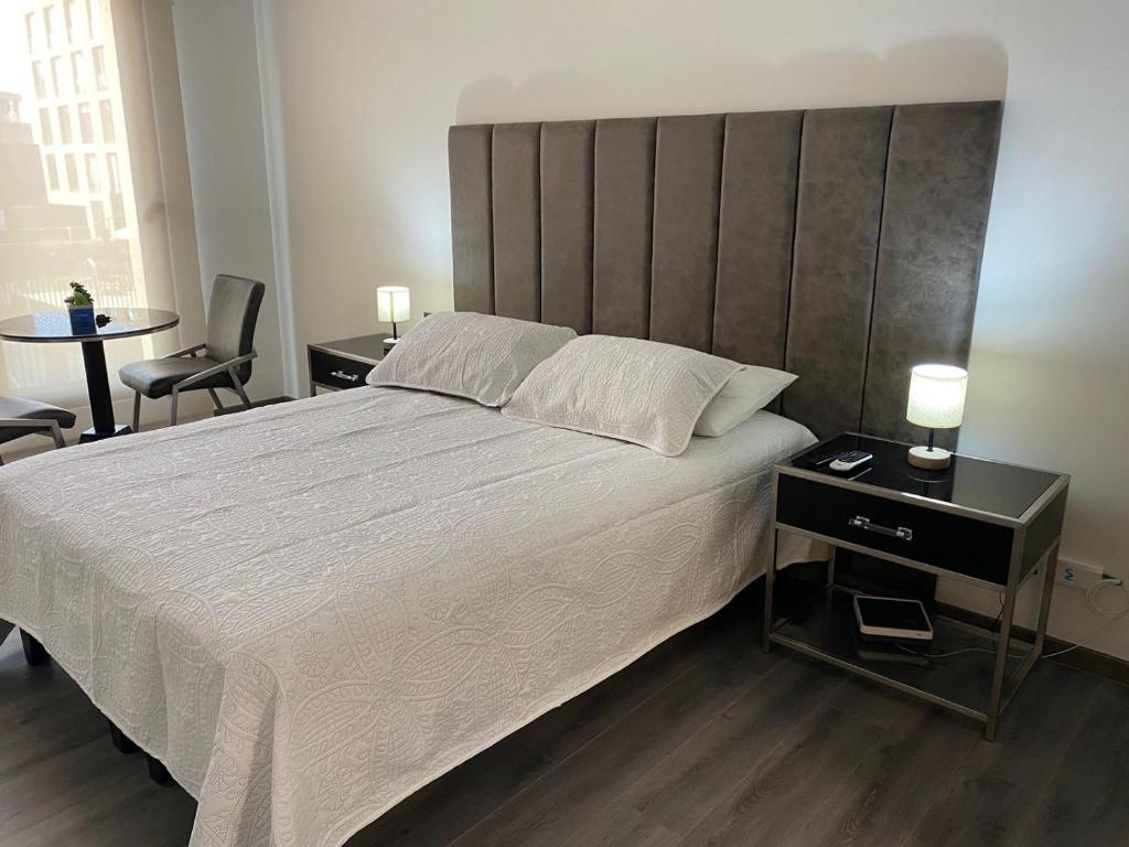 圣地亚哥BELLO APARTAMENTO EN SANTIAGO的一间卧室配有一张大床和大床头板