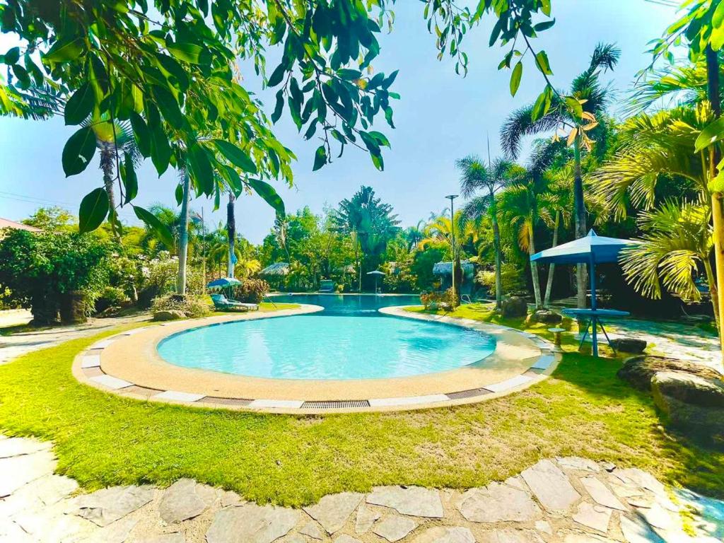 BustosDaily Bread Organic Farm & Resort的棕榈树公园内的游泳池