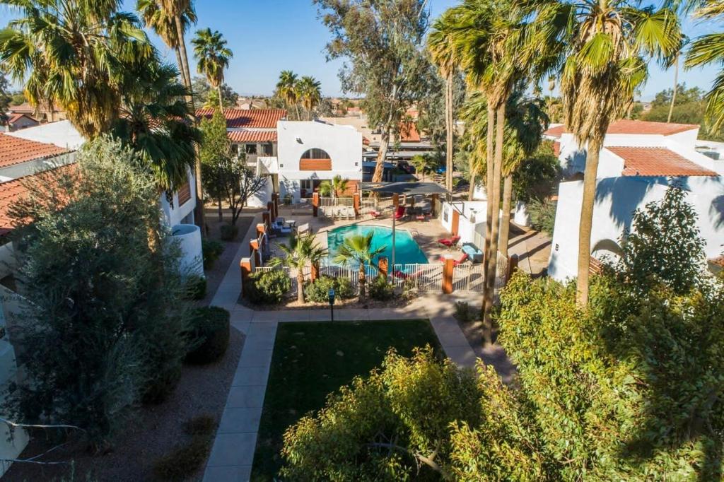 卡萨格兰德34B- Modern studio condo heated pool and dog park的享有后院的空中景致,后院拥有游泳池和棕榈树