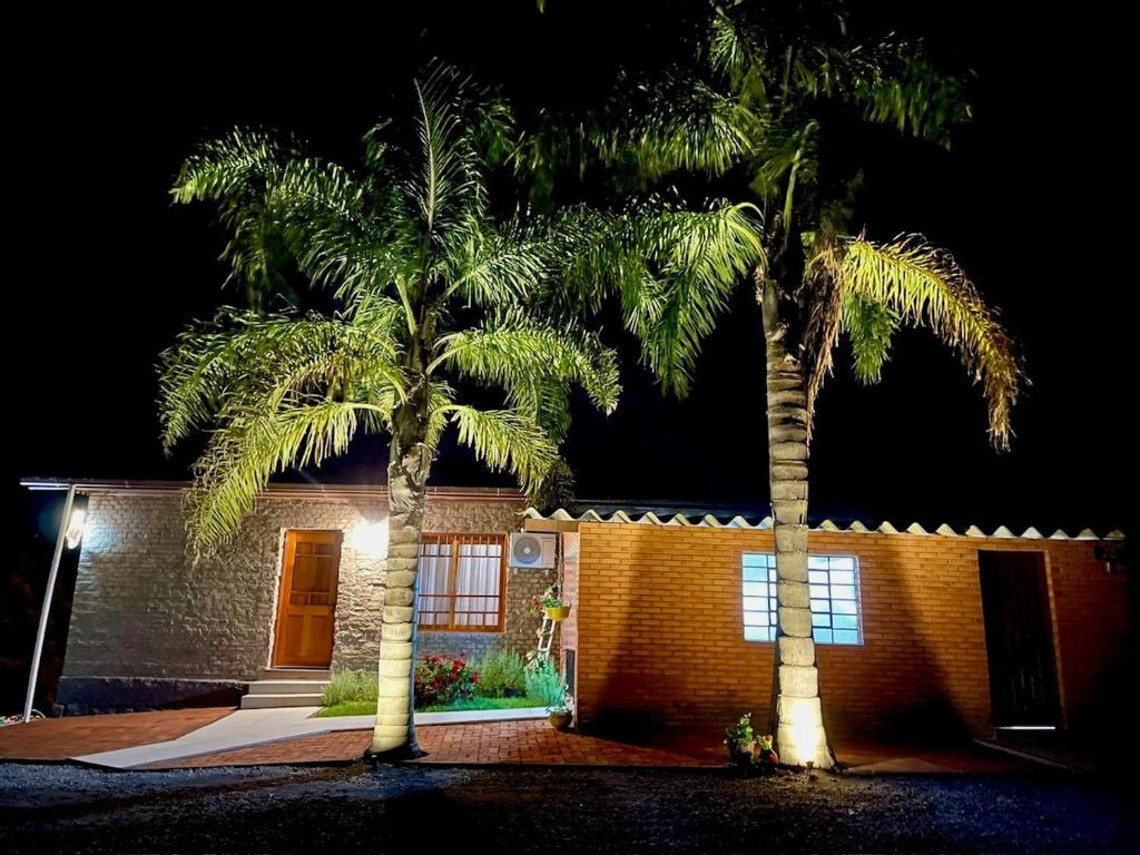 本图贡萨尔维斯Casa Vita BG - Casa de campo的两棵棕榈树在晚上的房子前