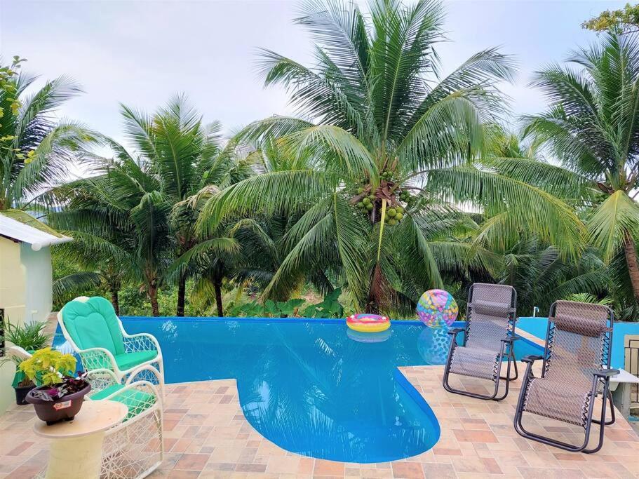 里奥圣胡安Villa Familiar en Río San Juan con Wifi BBQ Piscina @drvacationsrental的一个带椅子和桌子的游泳池,并种植了棕榈树