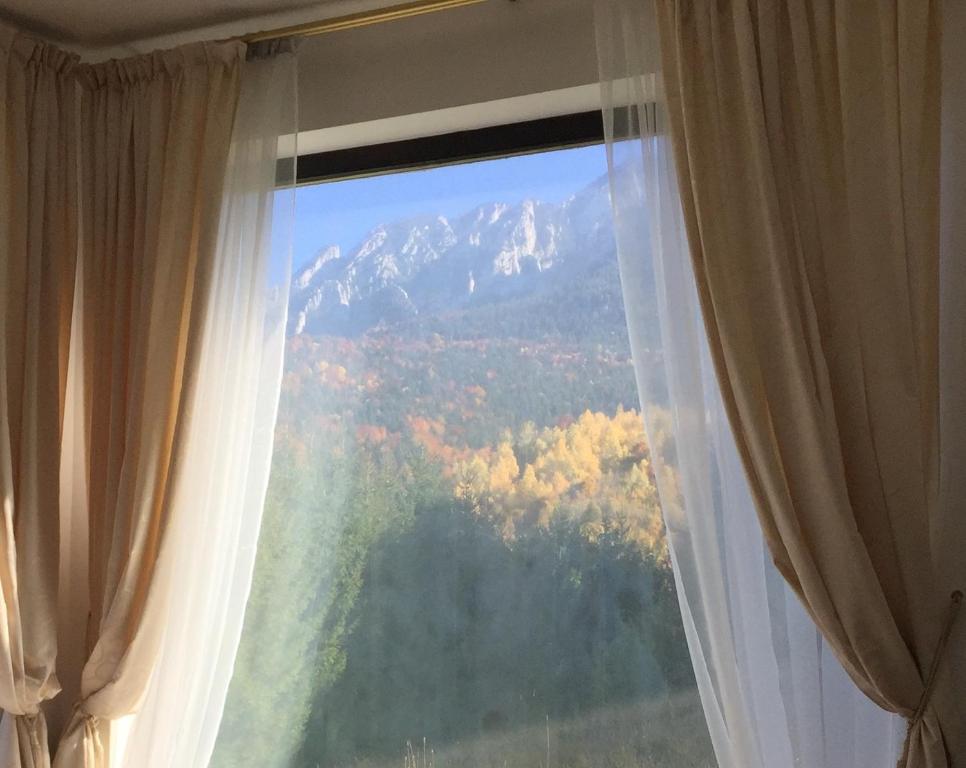 泽尔内什蒂Villa & SPA 4Temporadas BASM - Plaiul Foii的山景窗户