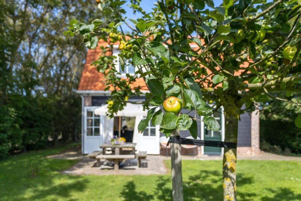 韦斯特卡佩勒Het Kleine Huis at Buitenplaats Zeeuwse Liefde的前面有一张野餐桌的房子