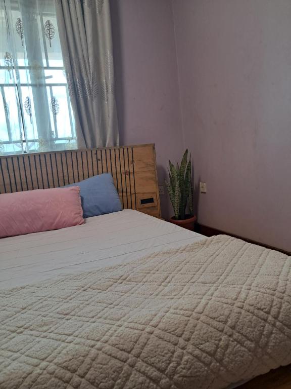金贾ZET HOLDINGS的一间卧室设有一张大床和一个窗户。