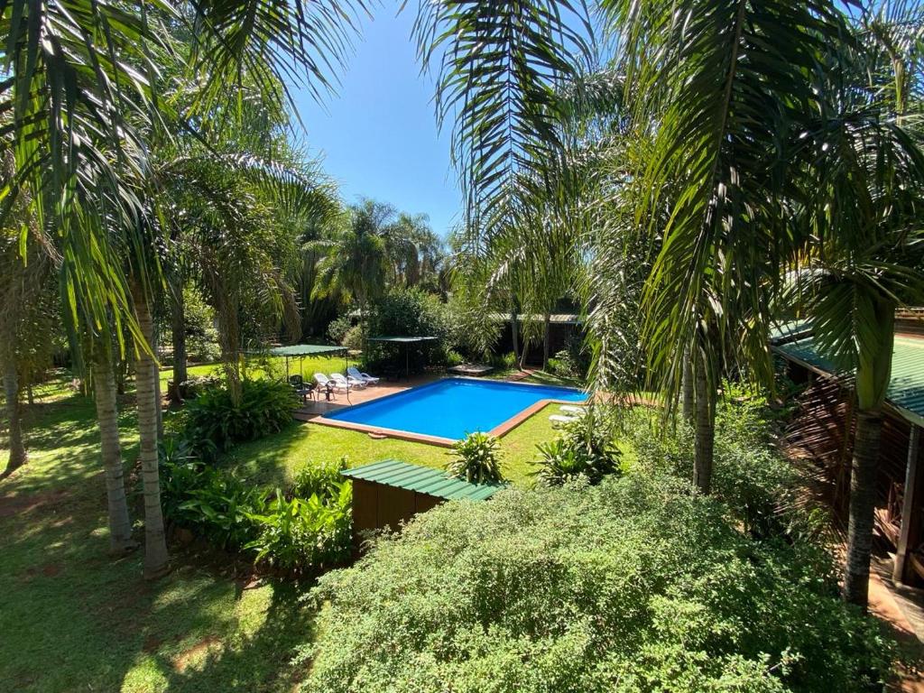 伊瓜苏港波萨达21号橙子酒店的棕榈树庭院内游泳池的顶部景色