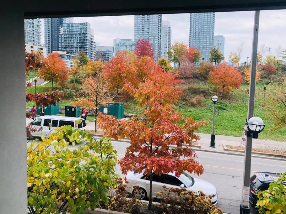 多伦多Luxe 2 Bed Suite Downtown Toronto Near Waterfront的享有市景,在街道上停放车辆