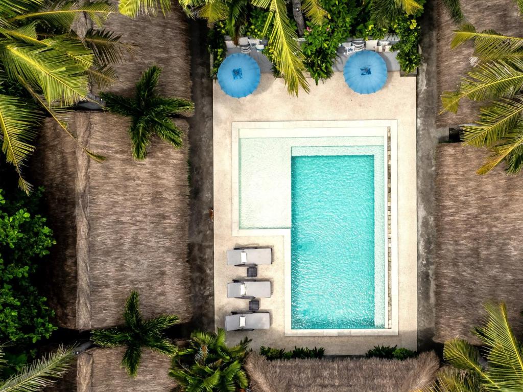 吉利特拉旺安Eden Eco Resort的享有游泳池和棕榈树的上方景色