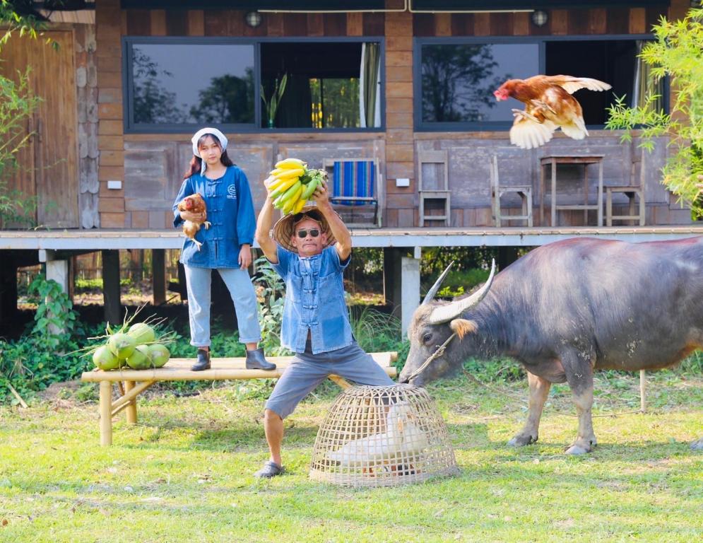 清迈Hang Tueng farm stay Chiang Mai แฮงตึง ฟาร์มสเตย์ เชียงใหม่的一名小男孩站在一头奶牛旁边