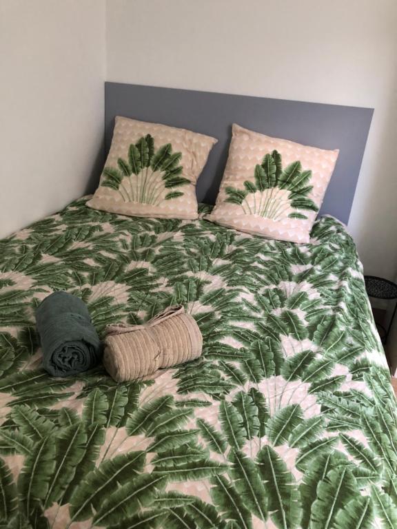 兰斯La petite pétillante的一张带绿色和粉红色毯子及枕头的床