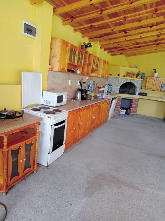 辛尼莫雷特Вила Сириус的厨房配有炉灶和冰箱。