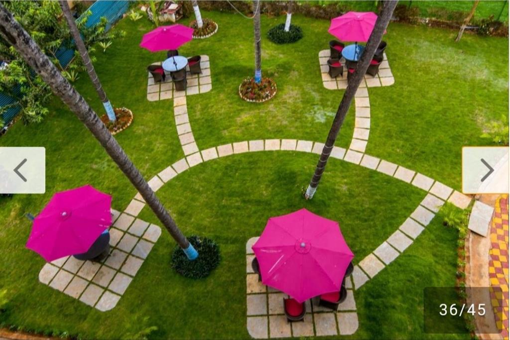 GoaThe Southern Soul Beach Resort, Goa的享有公园的顶部景色,配有粉红色的遮阳伞