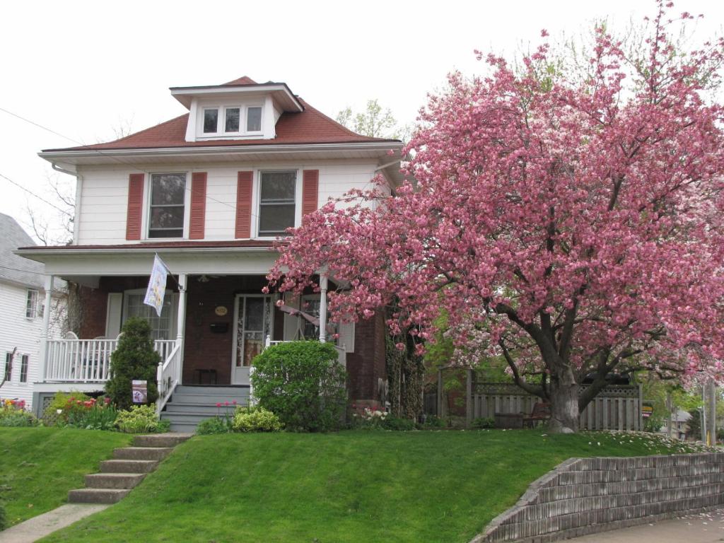 尼亚加拉瀑布斯特拉塞尔德B&B酒店的院子里有一棵粉红色的花树的房子