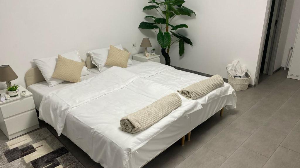 AfumaţiMicul Cosmopolit的一张白色大床,配有白色床单和枕头