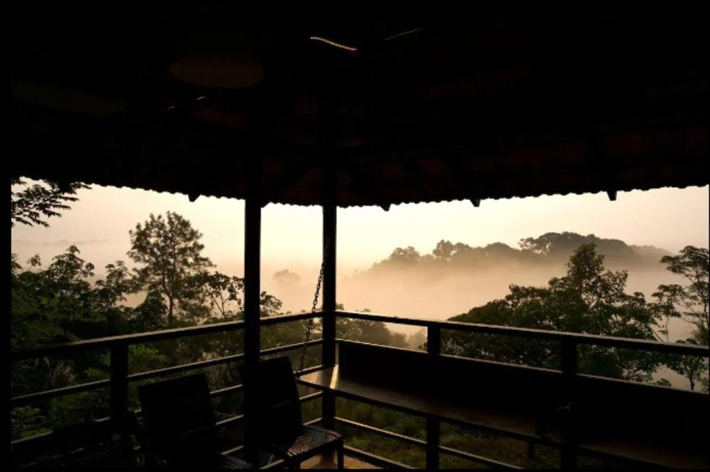 瓦亚纳德Bhuvi Wayanad Natural Tea Plantation Resort的客房设有阳台,享有雾 ⁇ 的山谷景色。