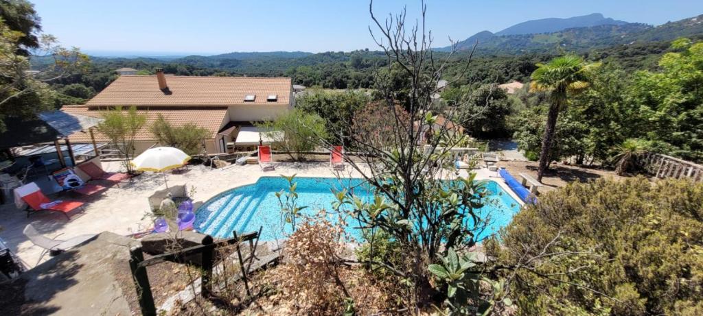 切尔维奥内Corse CERVIONE T2的房屋前的大型游泳池