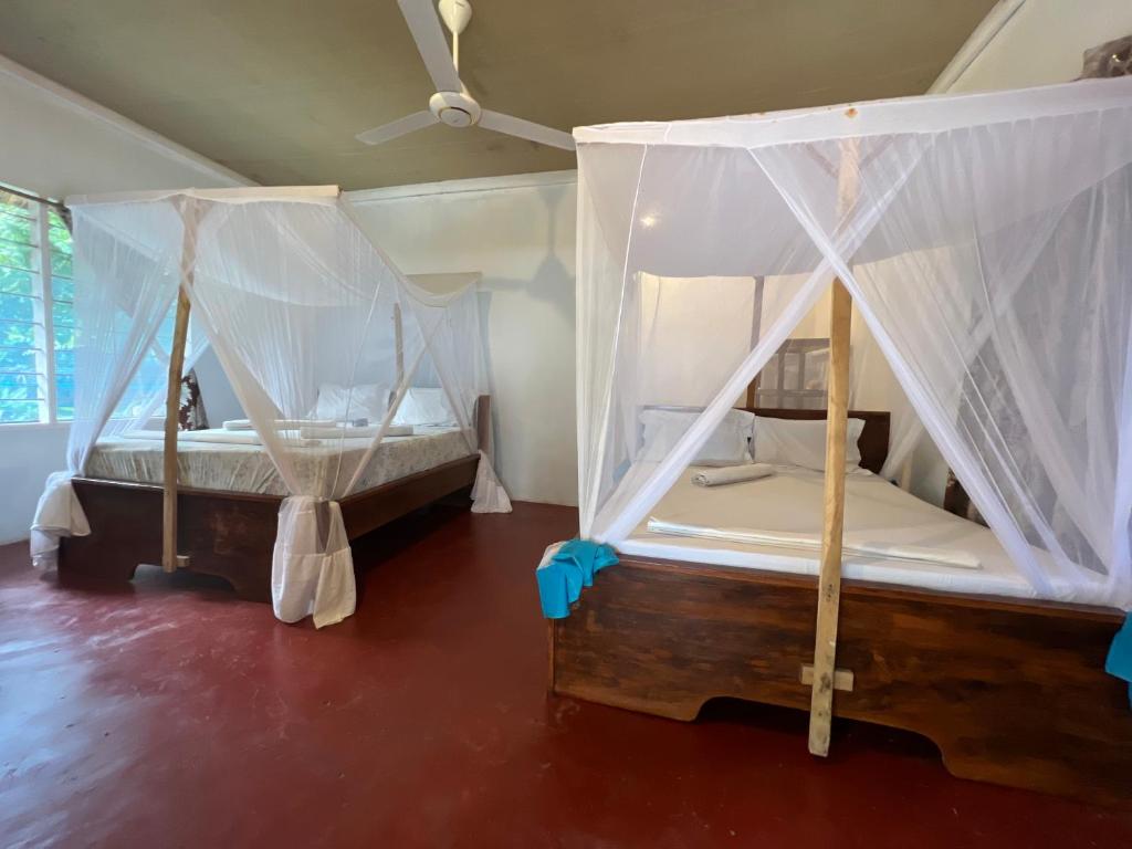 基林多尼Afro Rooms & Tents in The Beach的一间卧室配有两张带蚊帐的床