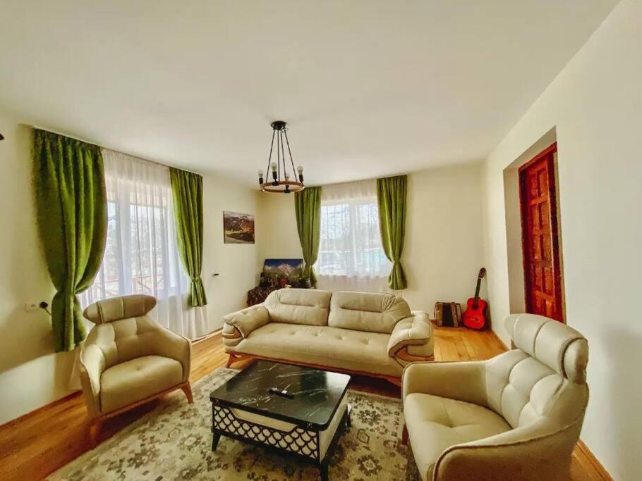 古多里Gudauri Deka House的客厅配有沙发、椅子和桌子