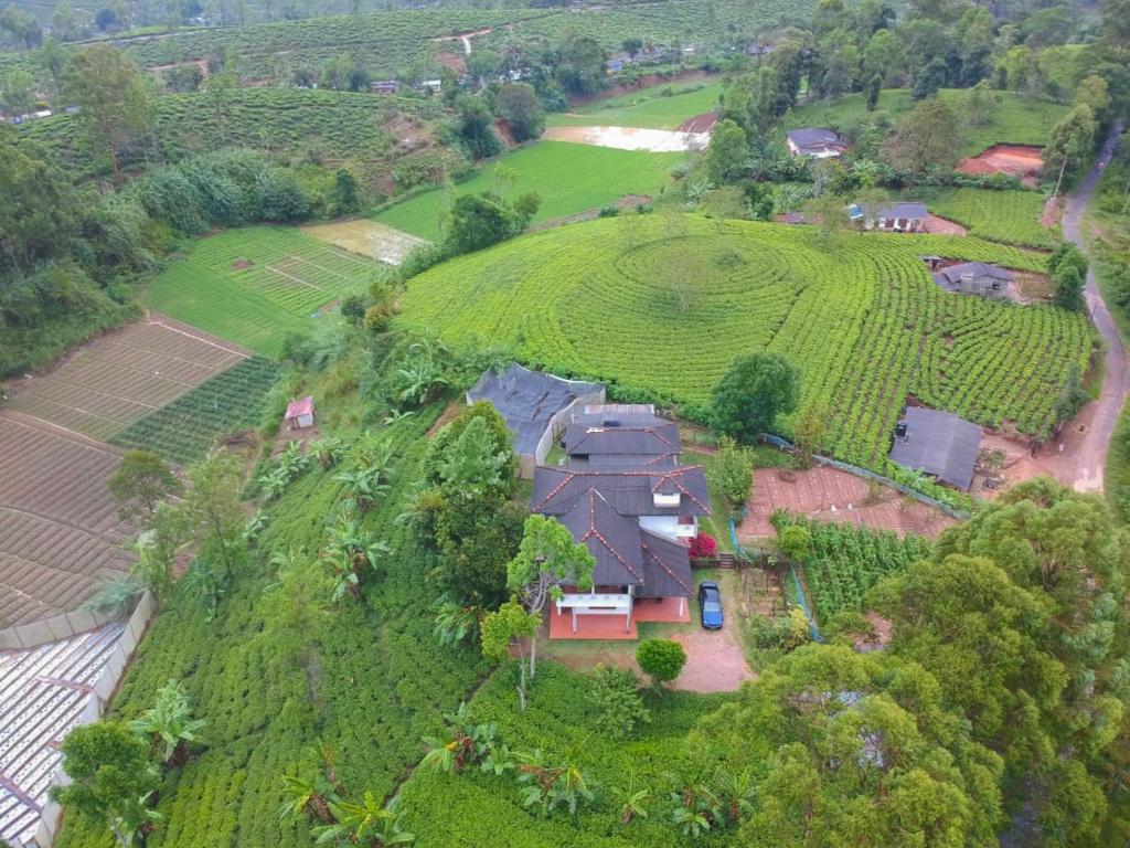 班德勒韦勒Katugaha Estate Bungalow的葡萄园内房屋的空中景观