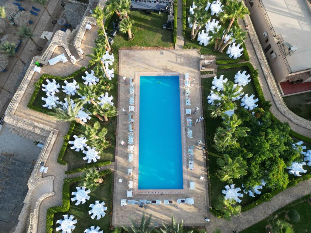 沙姆沙伊赫塔玛拉海滩度假酒店的享有带白色花卉的游泳池的顶部景致