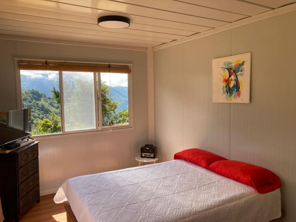 CopeyMario's Lodge Providencia的一间卧室设有一张床和一个窗口