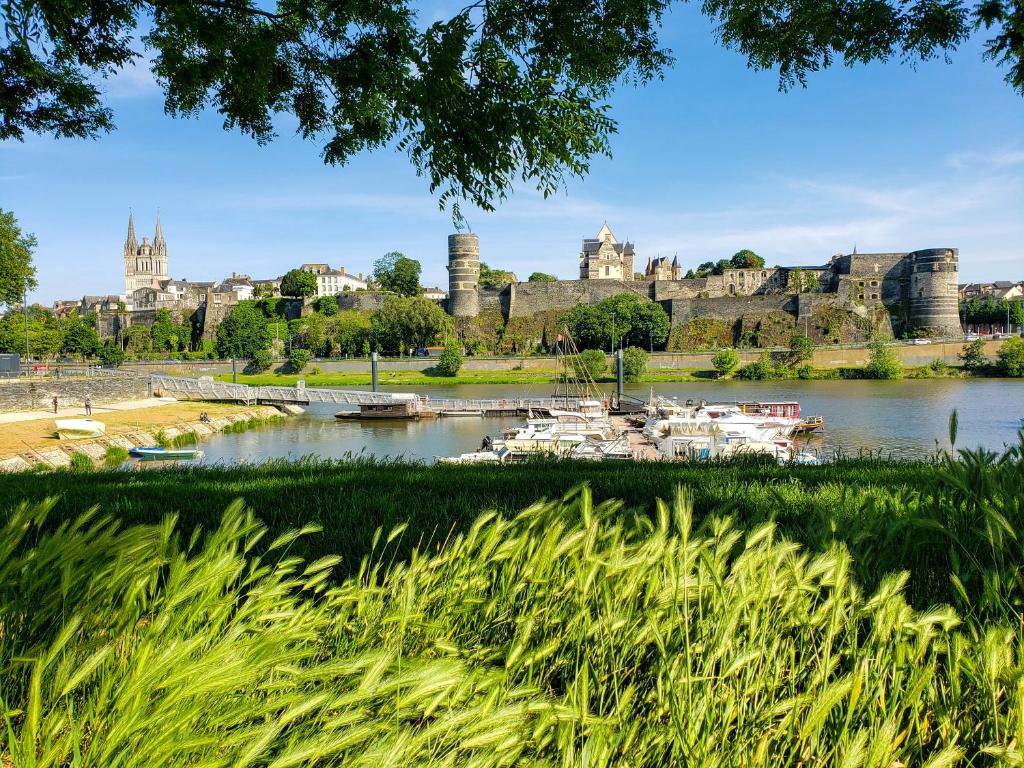 昂热Le Chateau的享有河流的景色,后面是城堡