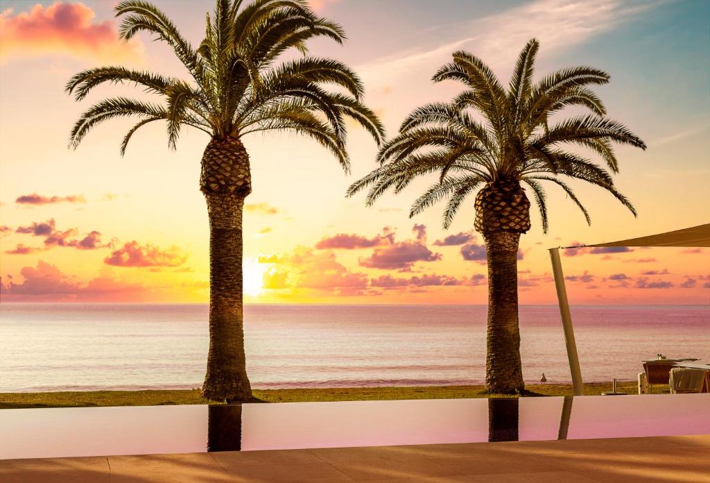 坎亚梅尔梅尔比奇Spa酒店 - 仅限成人的日落时分海滩上的两棵棕榈树