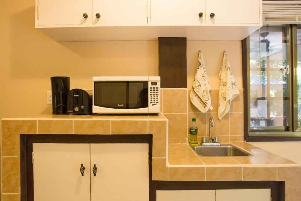肖尔M&A滨江沙滩山林小屋的厨房配有微波炉和水槽