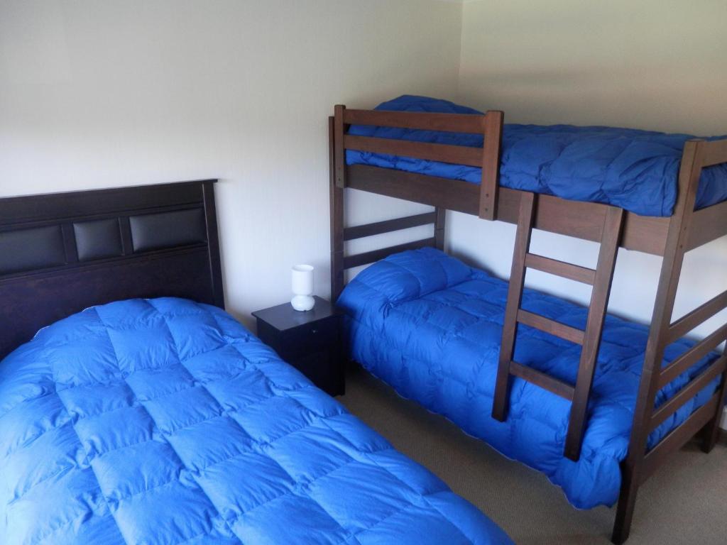 普孔Casa Costa Pucón的一间卧室配有两张双层床,铺有蓝色床单。