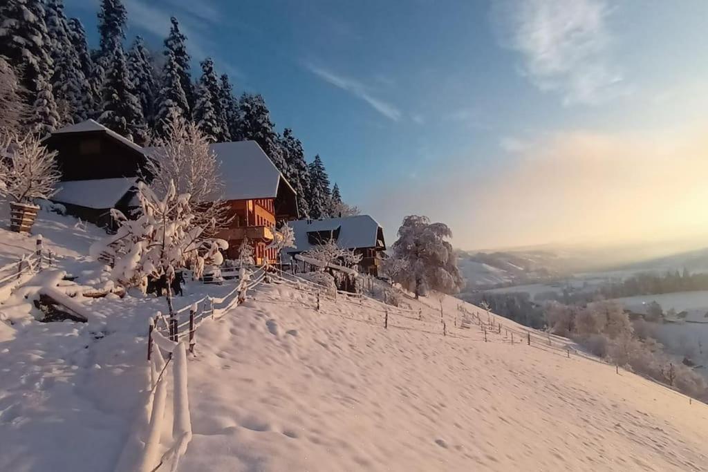 LauperswilFerienwohnung in Emmentaler Bauernhaus, Vogelsang的雪覆盖的山丘上小屋,设有围栏