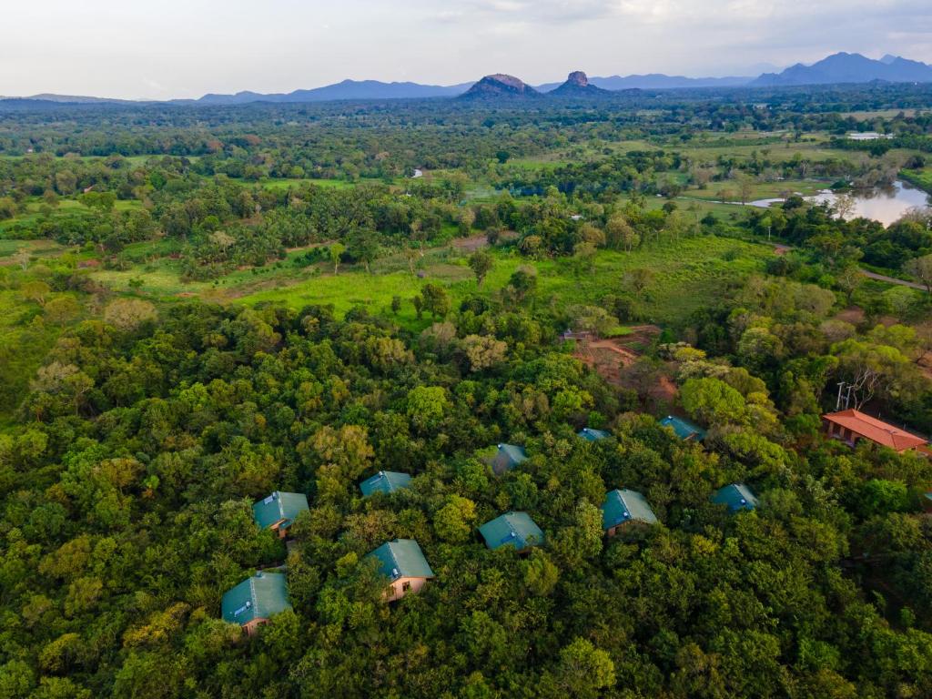 锡吉里亚Sigiriya Forest Edge By Marino Leisure的享有带蓝色屋顶的森林的顶部景色